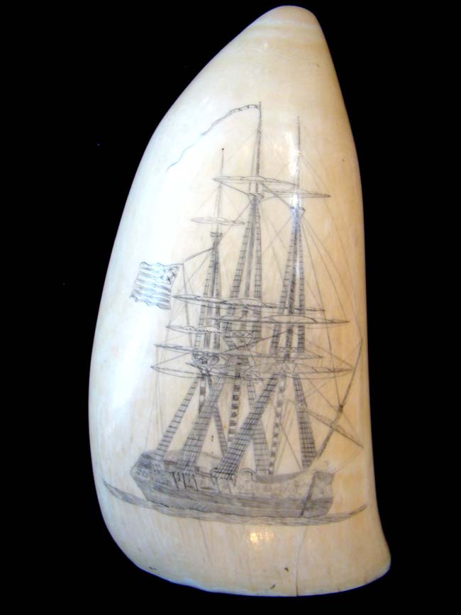 A Wonderful large 19th century Scrimshawed Whale's Tooth circa 1850
